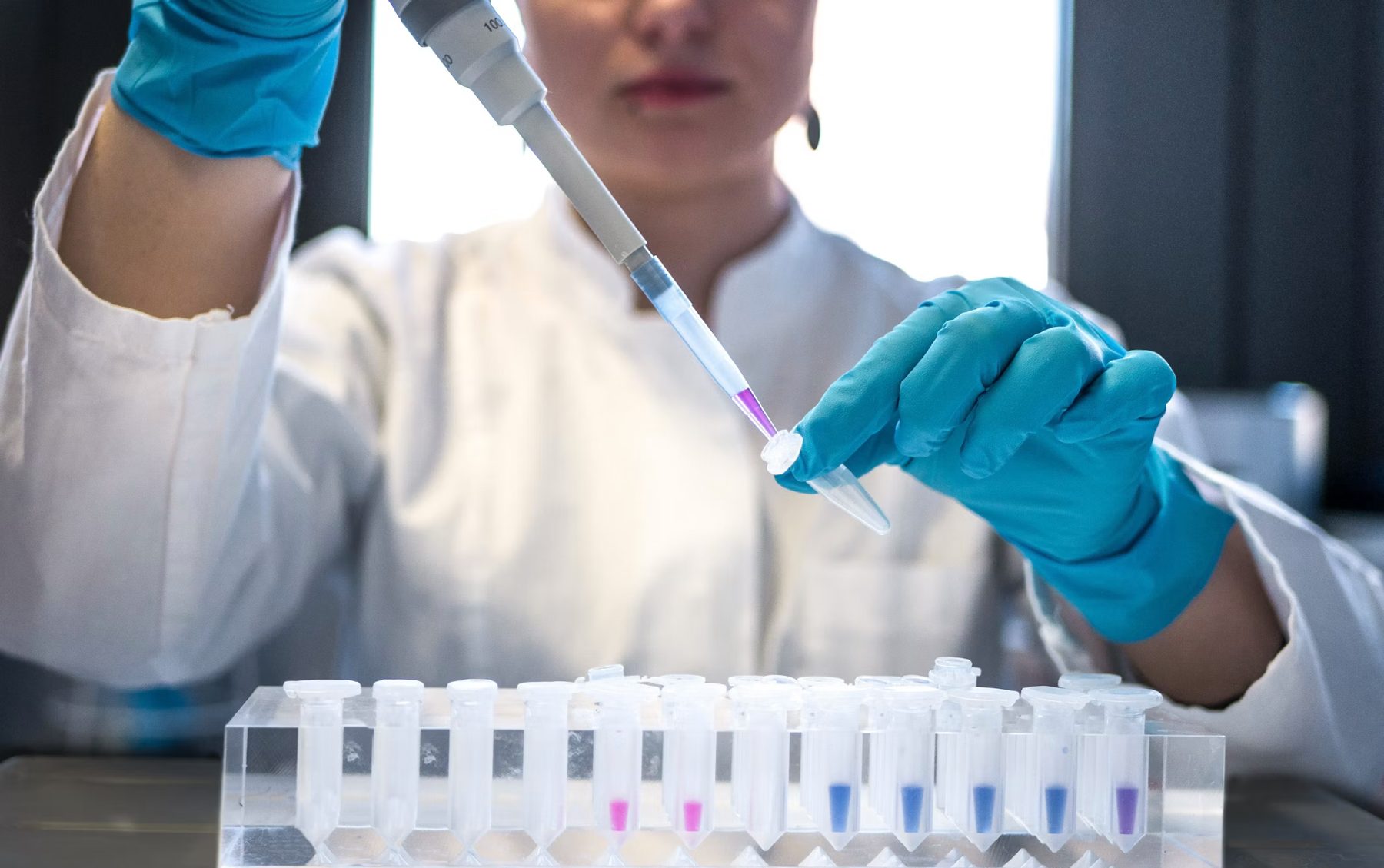 Scientist pipetting samples in the laboratory